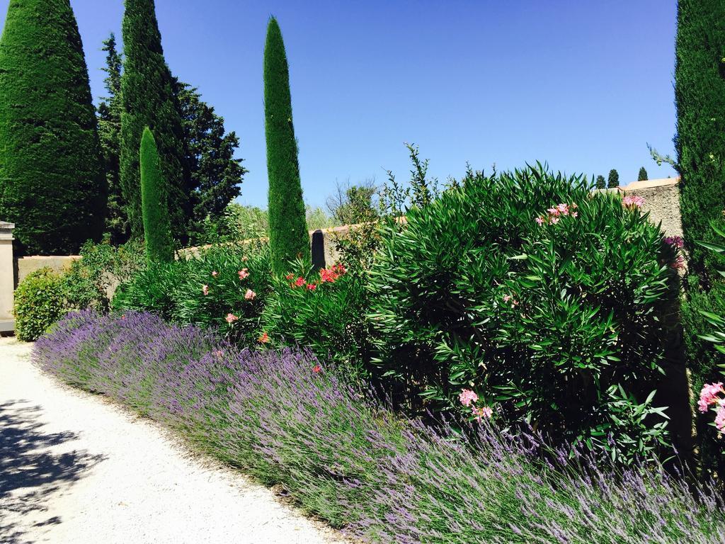 Le Mas Des Lauriers Bed and Breakfast Paradou Εξωτερικό φωτογραφία